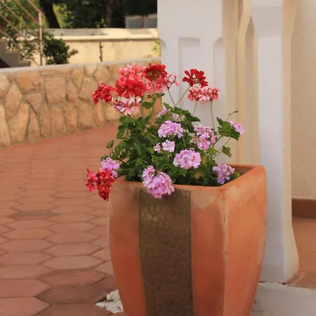 By The Sea - 8215 * Pašman